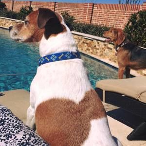 Meet your Posher, Ruben